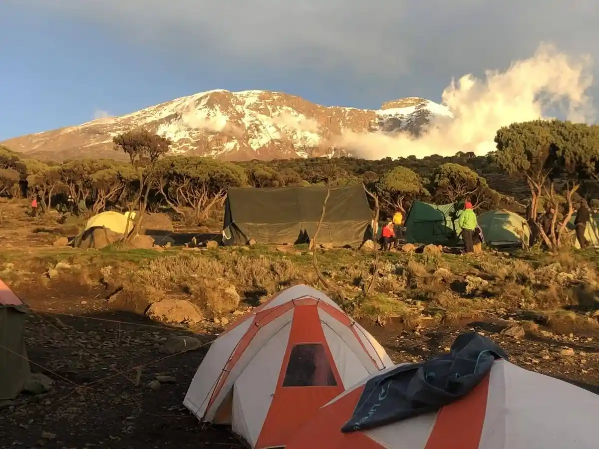 A group of hikers trekking on the Kilimanjaro Shira route