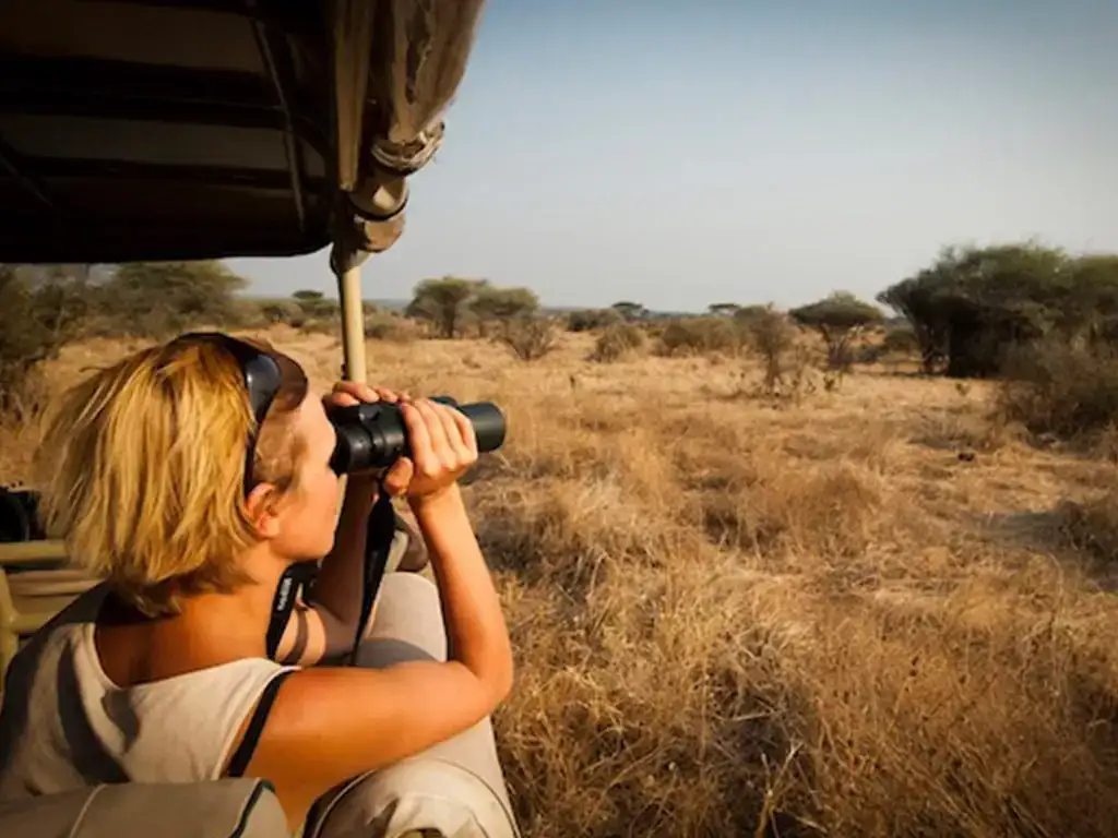 Private Safari in Tanzania - Exclusive Adventures with JM Tours