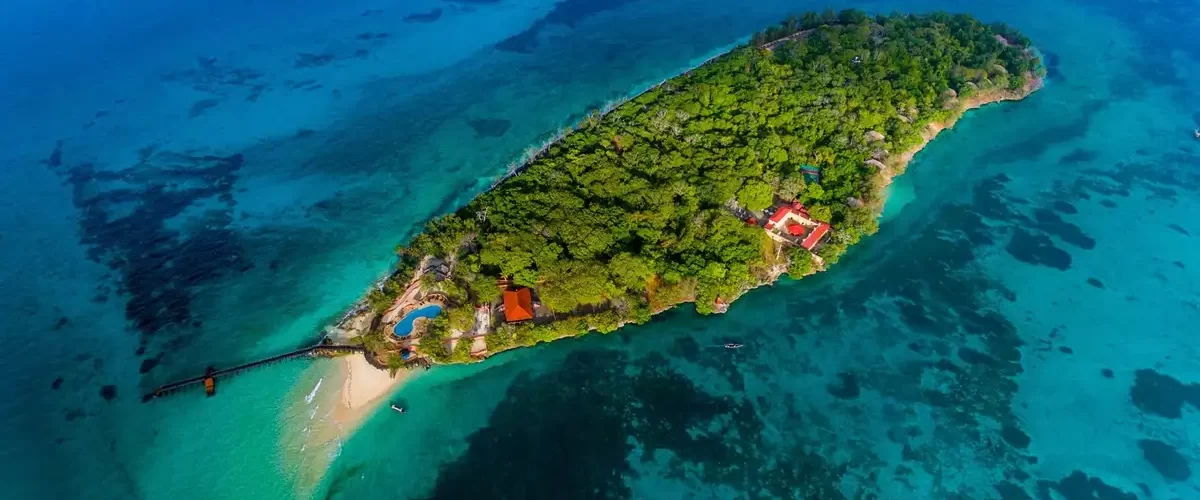 Prison Island Escape at Zanzibar Island - JM Tours