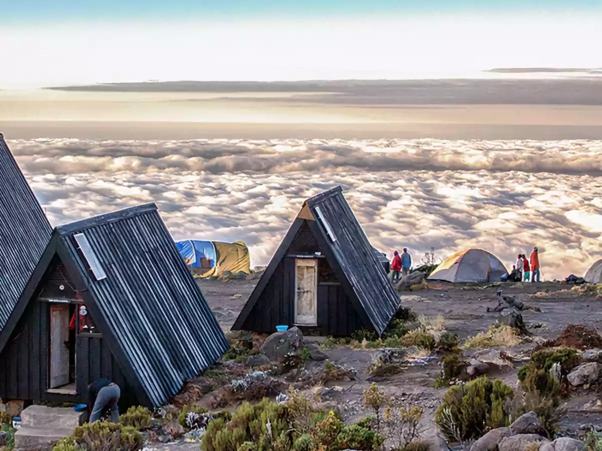 Kilimanjaro Marangu Route Camp: 6-Day Adventure with JM Tours