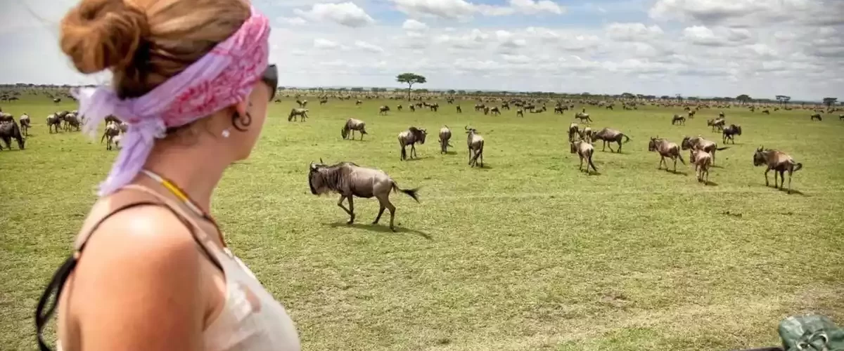 Ngorongoro Crater Day Trip. How To Prepare For a Tanzania Tour