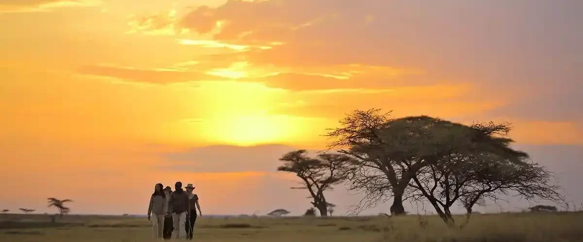 Where to Travel in Tanzania: Tanzania Covid-19 Updates