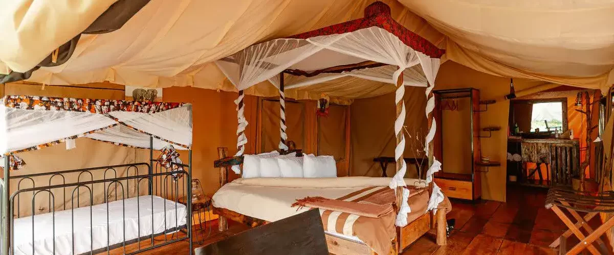 Captivating image showcasing the incredible wildlife and landscapes during Tanzania Tours and Safari, featuring majestic animals in their natural habitat.