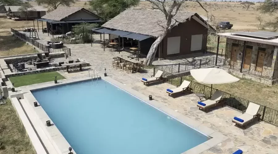 Captivating image showcasing the incredible wildlife and landscapes during Tanzania Tours and Safari, featuring majestic animals in their natural habitat.