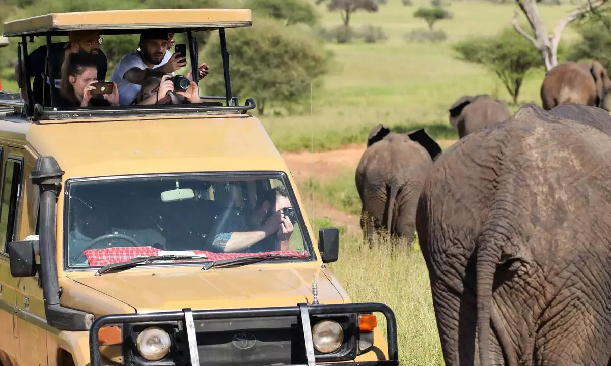 Our 2 day Budget Tanzania Safari offers a visit to Lake Manyara and Tarangire