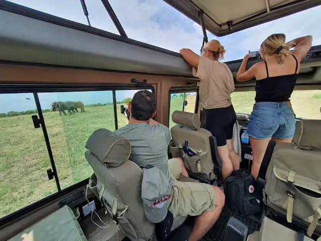 Captivating image showcasing the incredible wildlife and landscapes during Tanzania Tours and Safari, featuring majestic animals in their natural habitat.