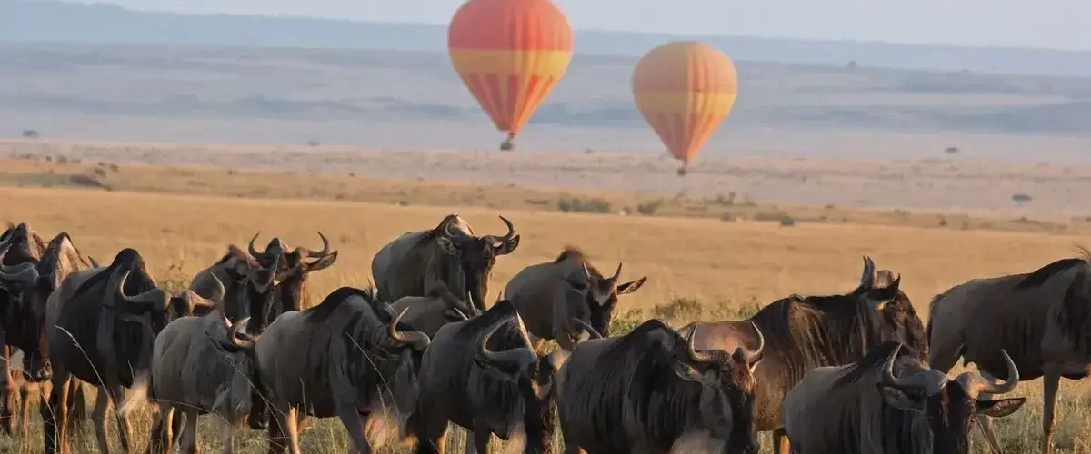Serengeti balloon Wildebeest Migration. Serengeti Travel Guide