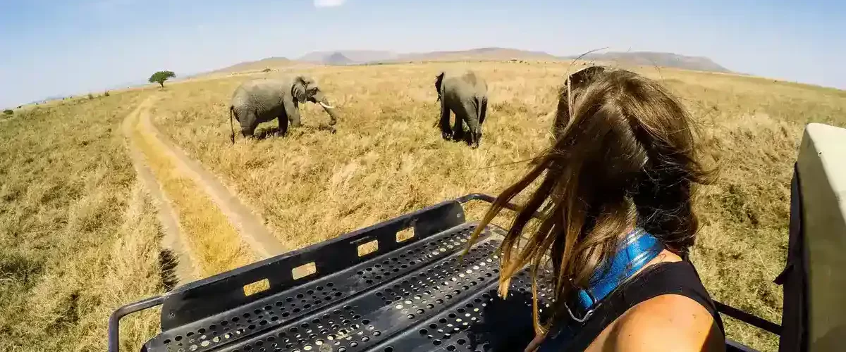 Captivating image showcasing the incredible wildlife and landscapes during Tanzania Tours and Safari, featuring majestic animals in their natural habitat.