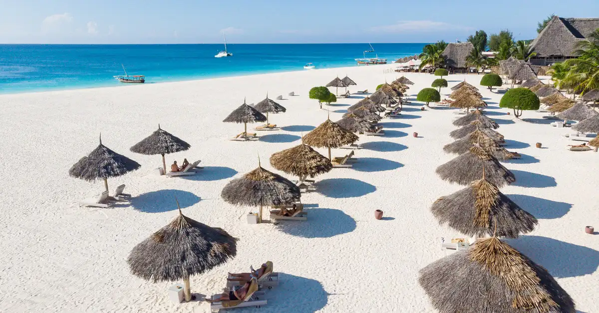 This guide helps you to compare the Zanzibar Tours where you will experience top packages from pristine beaches, culture, and adventures.