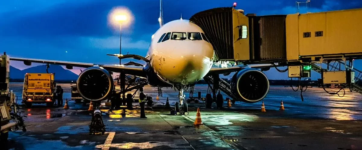 Captivating image showcasing the incredible wildlife and landscapes during Tanzania Tours and Safari, featuring majestic animals in their natural habitat.