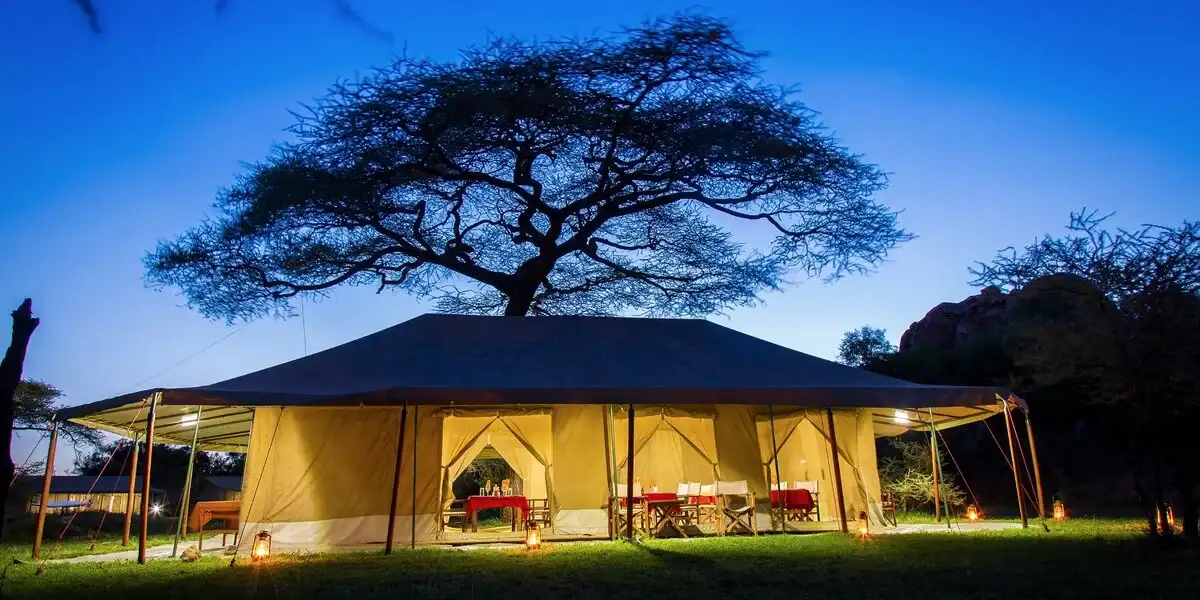 Captivating image showcasing the incredible wildlife and landscapes during Tanzania Tours and Safari, featuring majestic animals in their natural habitat.