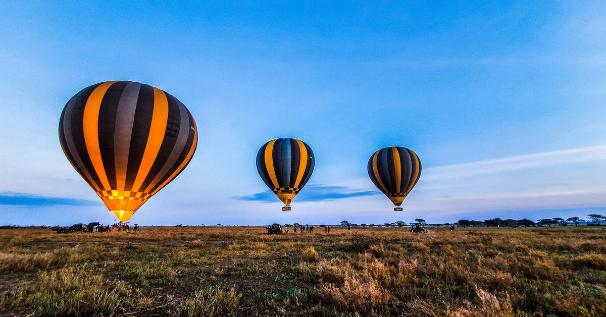 Experience the best of Tanzania trips with our Luxury Tours