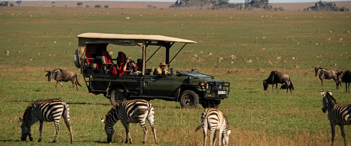 Captivating image showcasing the incredible wildlife and landscapes during Tanzania Tours and Safari, featuring majestic animals in their natural habitat.