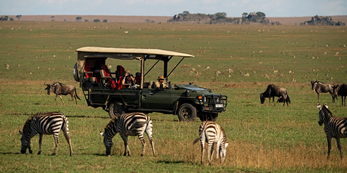 Captivating image showcasing the incredible wildlife and landscapes during Tanzania Tours and Safari, featuring majestic animals in their natural habitat.