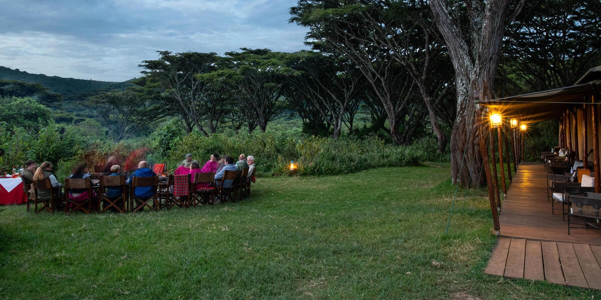 Captivating image showcasing the incredible wildlife and landscapes during Tanzania Tours and Safari, featuring majestic animals in their natural habitat.