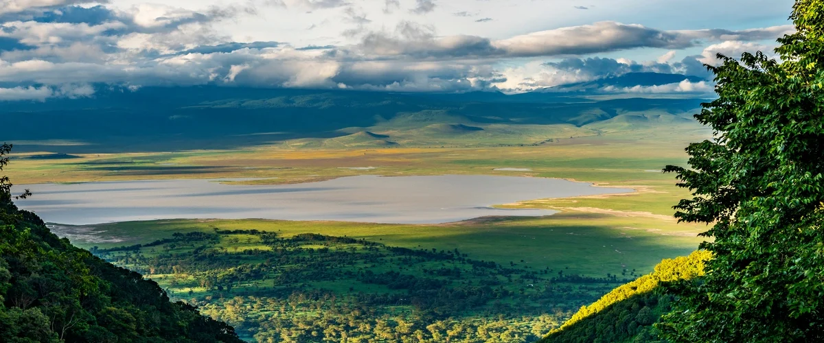 Captivating image showcasing the incredible wildlife and landscapes during Tanzania Tours and Safari, featuring majestic animals in their natural habitat.