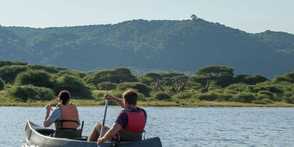 Captivating image showcasing the incredible wildlife and landscapes during Tanzania Tours and Safari, featuring majestic animals in their natural habitat.