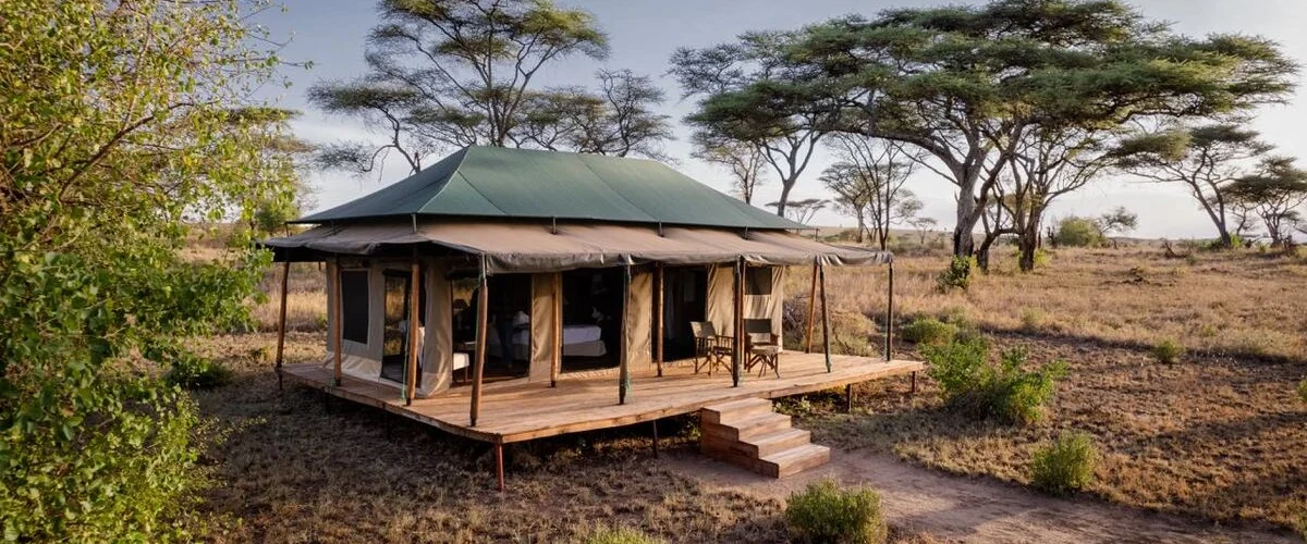 Captivating image showcasing the incredible wildlife and landscapes during Tanzania Tours and Safari, featuring majestic animals in their natural habitat.