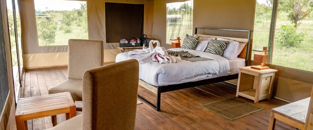 Captivating image showcasing the incredible wildlife and landscapes during Tanzania Tours and Safari, featuring majestic animals in their natural habitat.