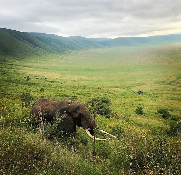ngorongoro_crater