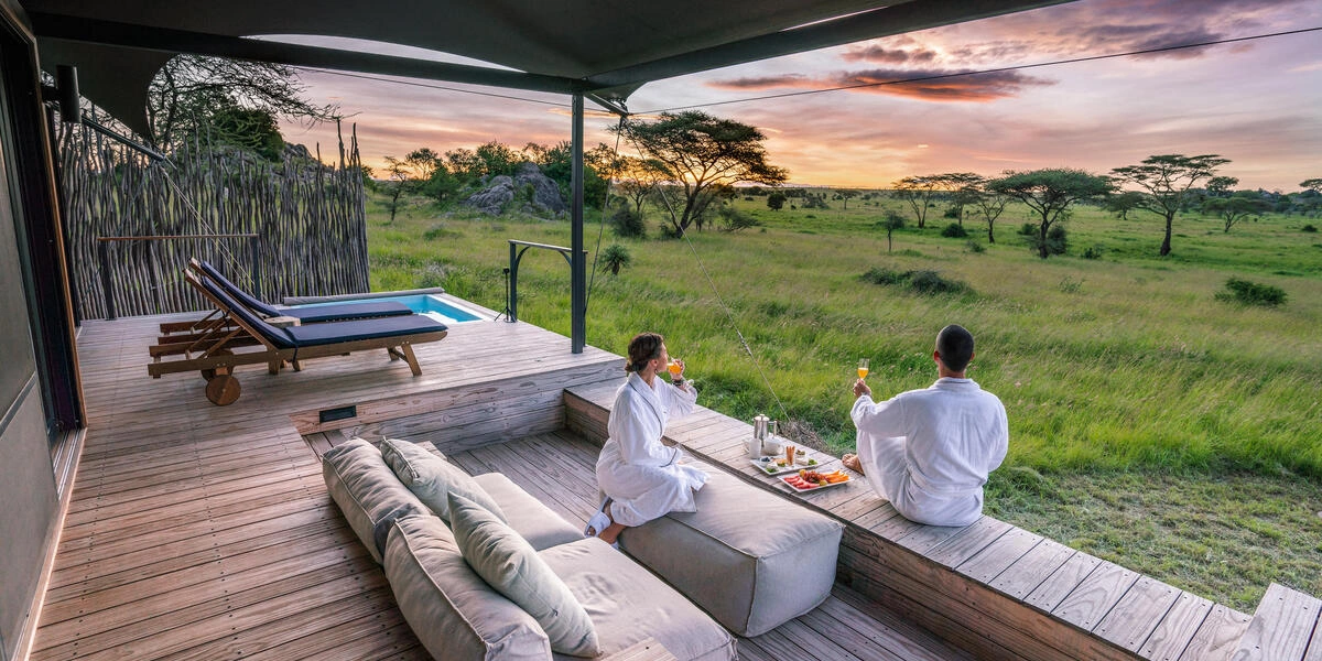 Captivating image showcasing the incredible wildlife and landscapes during Tanzania Tours and Safari, featuring majestic animals in their natural habitat.