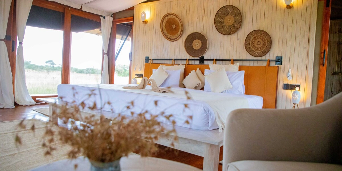 Captivating image showcasing the incredible wildlife and landscapes during Tanzania Tours and Safari, featuring majestic animals in their natural habitat.