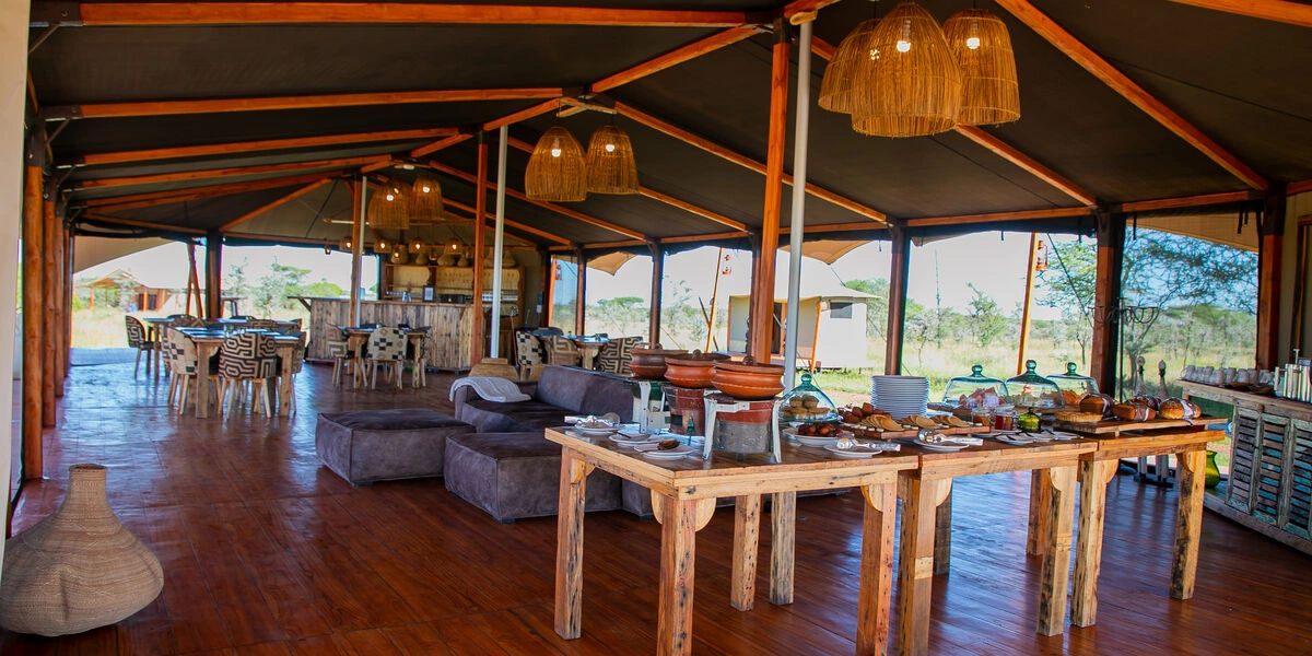 Captivating image showcasing the incredible wildlife and landscapes during Tanzania Tours and Safari, featuring majestic animals in their natural habitat.