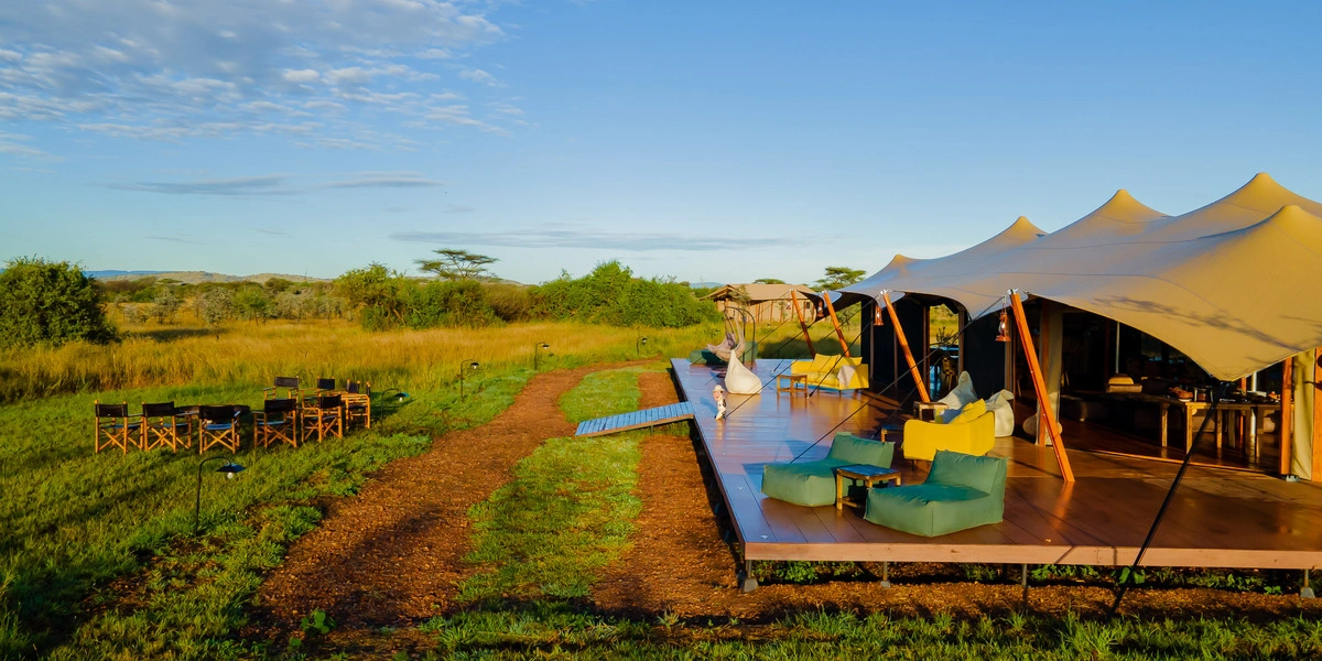 Captivating image showcasing the incredible wildlife and landscapes during Tanzania Tours and Safari, featuring majestic animals in their natural habitat.