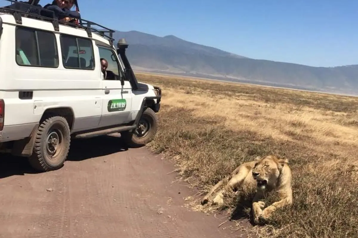 Captivating image showcasing the incredible wildlife and landscapes during Tanzania Tours and Safari, featuring majestic animals in their natural habitat.