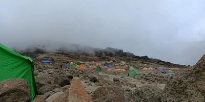 Captivating image showcasing the incredible wildlife and landscapes during Tanzania Tours and Safari, featuring majestic animals in their natural habitat.