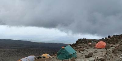 Captivating image showcasing the incredible wildlife and landscapes during Tanzania Tours and Safari, featuring majestic animals in their natural habitat.
