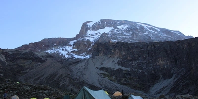 Captivating image showcasing the incredible wildlife and landscapes during Tanzania Tours and Safari, featuring majestic animals in their natural habitat.