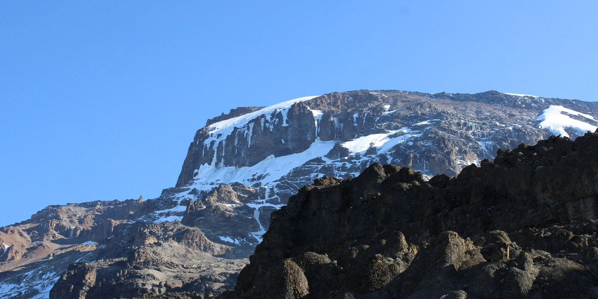 Captivating image showcasing the incredible wildlife and landscapes during Tanzania Tours and Safari, featuring majestic animals in their natural habitat.
