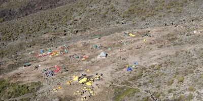 Captivating image showcasing the incredible wildlife and landscapes during Tanzania Tours and Safari, featuring majestic animals in their natural habitat.
