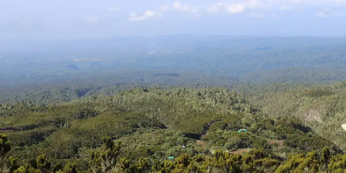 Captivating image showcasing the incredible wildlife and landscapes during Tanzania Tours and Safari, featuring majestic animals in their natural habitat.