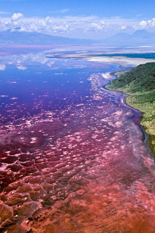 lake_natron_tanzannia
