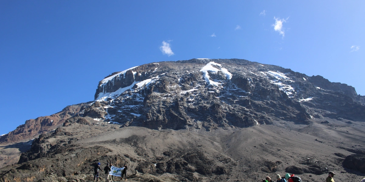 Captivating image showcasing the incredible wildlife and landscapes during Tanzania Tours and Safari, featuring majestic animals in their natural habitat.