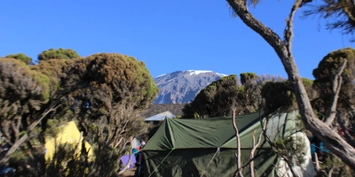 Captivating image showcasing the incredible wildlife and landscapes during Tanzania Tours and Safari, featuring majestic animals in their natural habitat.