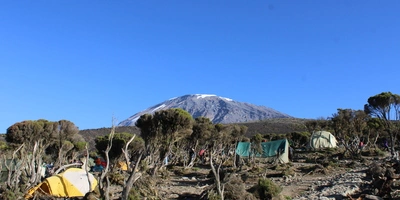 Captivating image showcasing the incredible wildlife and landscapes during Tanzania Tours and Safari, featuring majestic animals in their natural habitat.