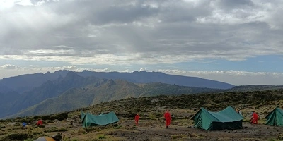 Captivating image showcasing the incredible wildlife and landscapes during Tanzania Tours and Safari, featuring majestic animals in their natural habitat.