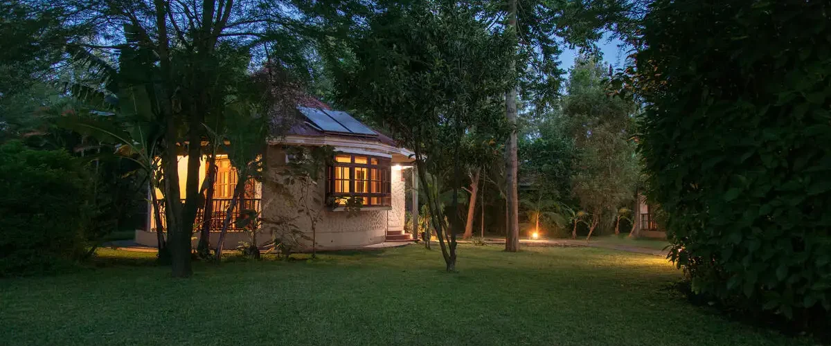 Captivating image showcasing the incredible wildlife and landscapes during Tanzania Tours and Safari, featuring majestic animals in their natural habitat.