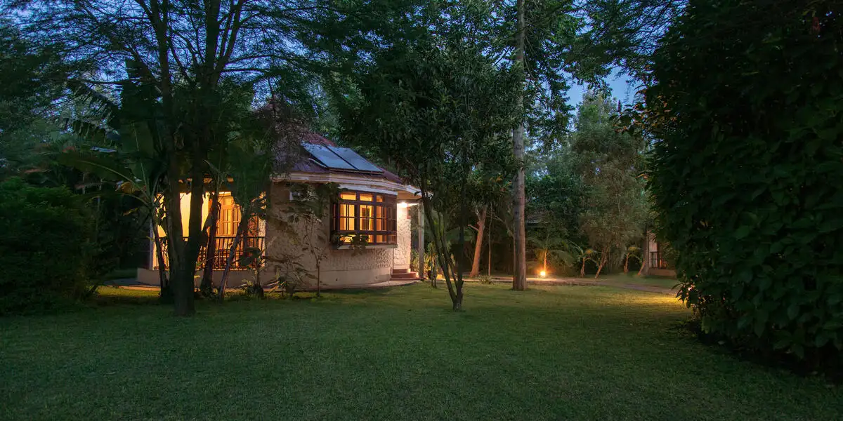 Captivating image showcasing the incredible wildlife and landscapes during Tanzania Tours and Safari, featuring majestic animals in their natural habitat.