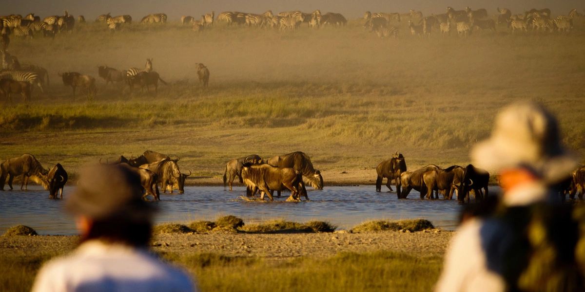 Enjoy the best travel experiences in Tanzania, from exciting safaris to relaxing beach vacations