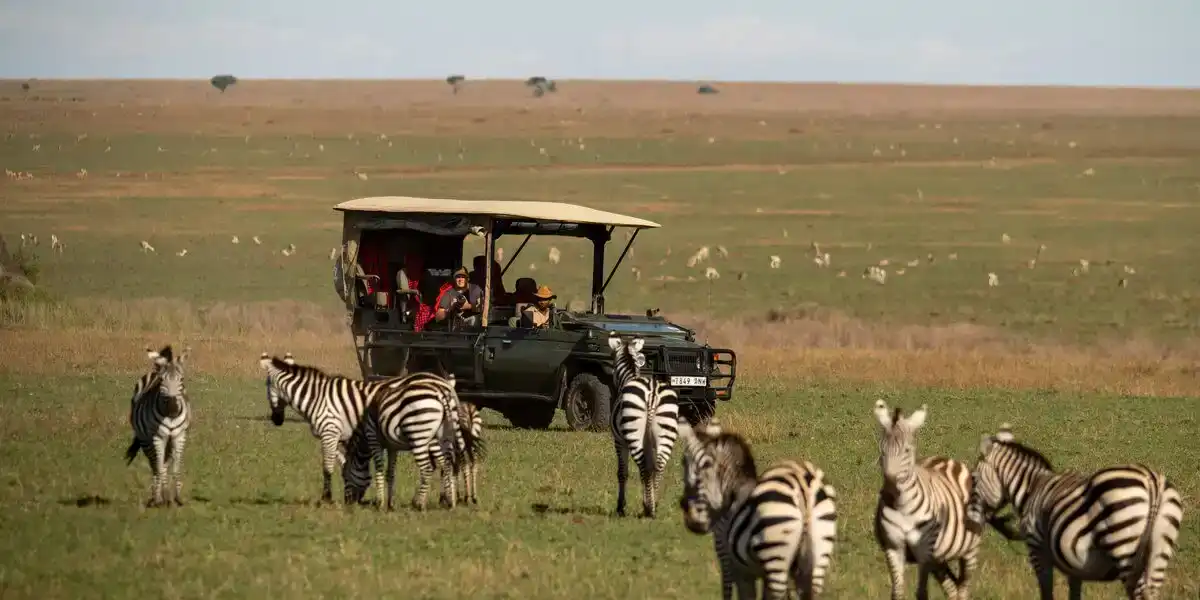 Tanzania Solo Travel—Best Hosted Singles Safaris