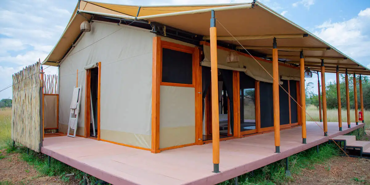 Captivating image showcasing the incredible wildlife and landscapes during Tanzania Tours and Safari, featuring majestic animals in their natural habitat.