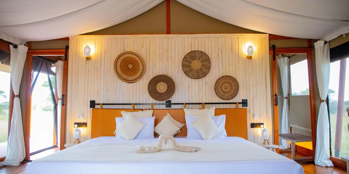 Captivating image showcasing the incredible wildlife and landscapes during Tanzania Tours and Safari, featuring majestic animals in their natural habitat.