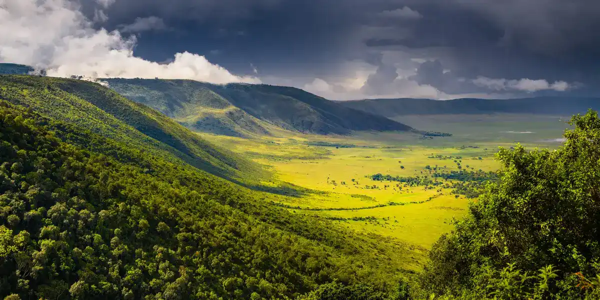The stunning view of Ngorongoro Crater in Tanzania East Africa.