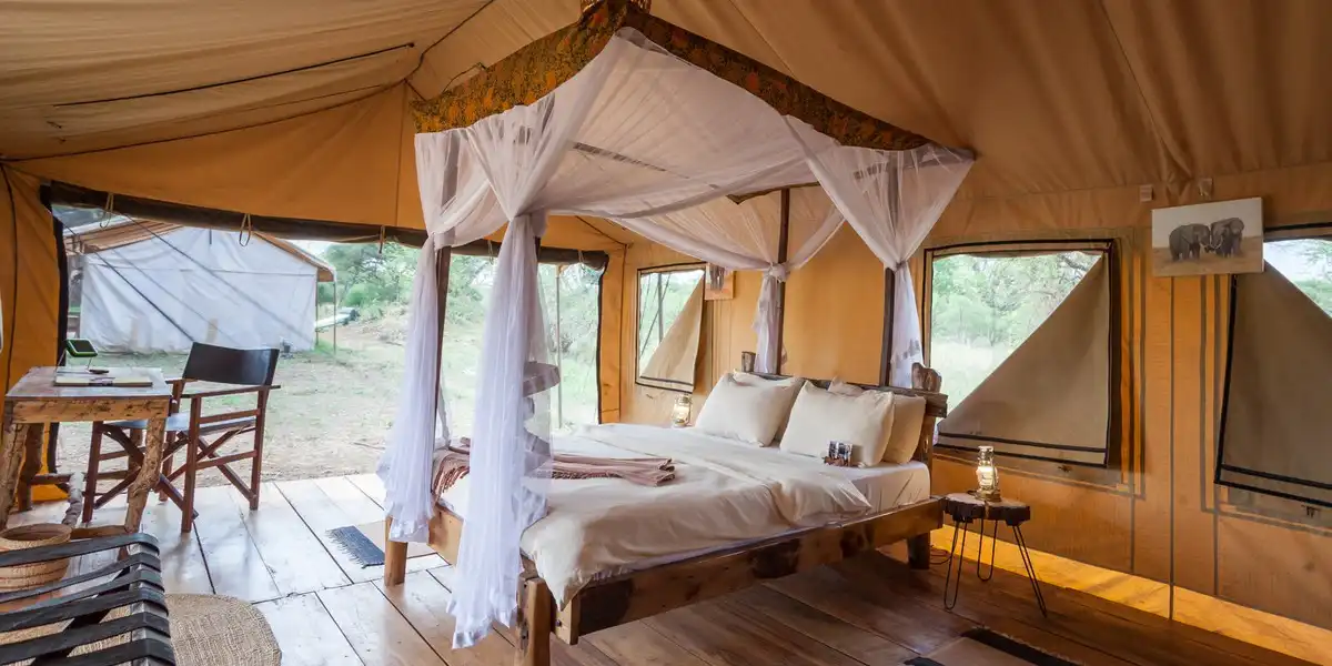 Captivating image showcasing the incredible wildlife and landscapes during Tanzania Tours and Safari, featuring majestic animals in their natural habitat.