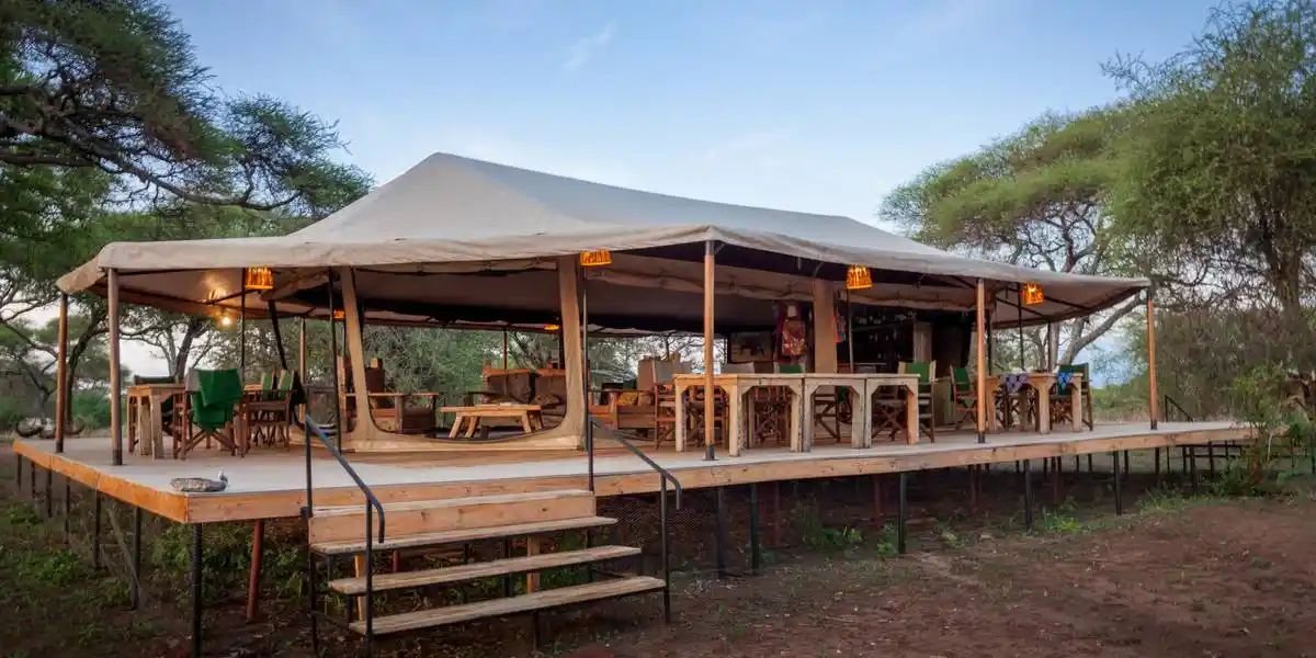 Captivating image showcasing the incredible wildlife and landscapes during Tanzania Tours and Safari, featuring majestic animals in their natural habitat.