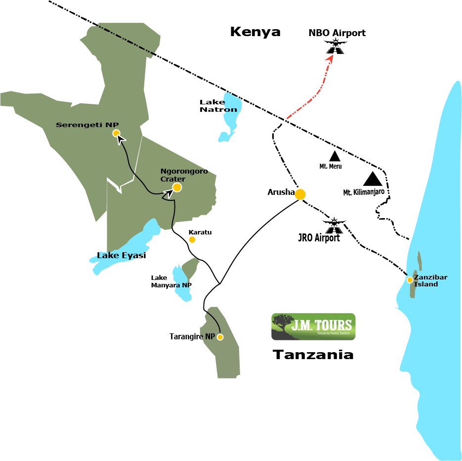 Captivating image showcasing the incredible wildlife and landscapes during Tanzania Tours and Safari, featuring majestic animals in their natural habitat.